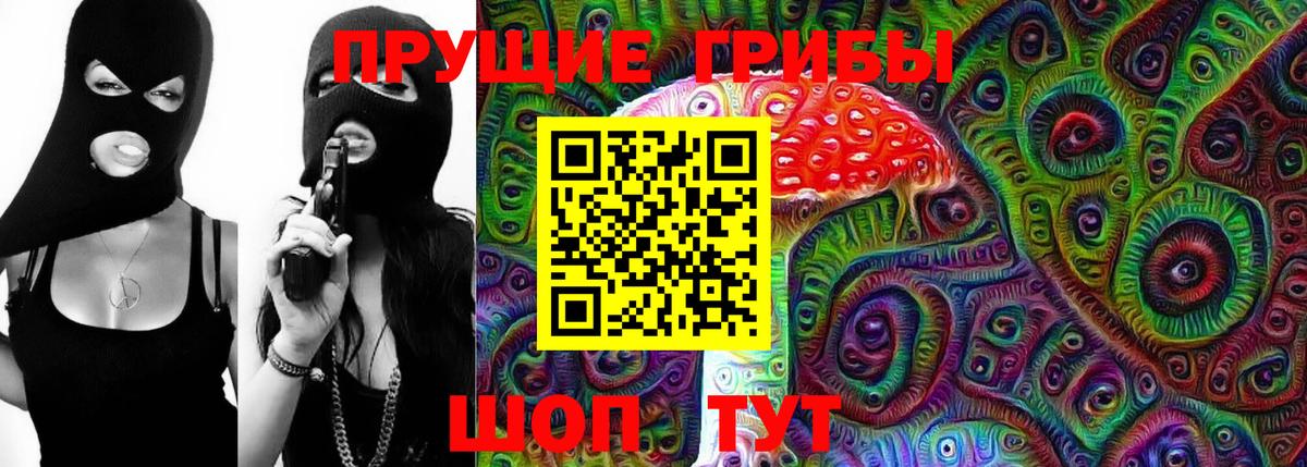закладка  Галлюциногенные грибы мицелий  Псилоцибиновые грибы MAGIC MUSHROOMS  Вход с VPN  Новочебоксарск 