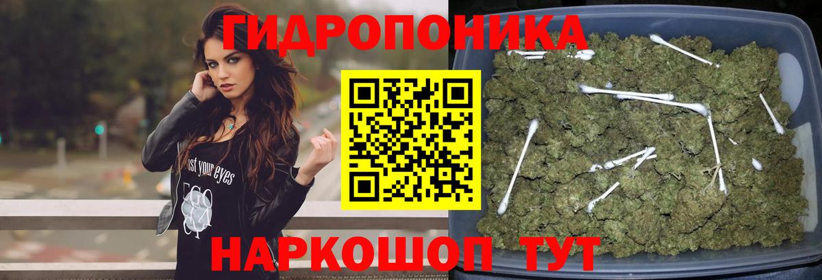 Канабис семена  Каннабис Amnesia  Вход с VPN  Каннабис AK-47  Новочебоксарск 